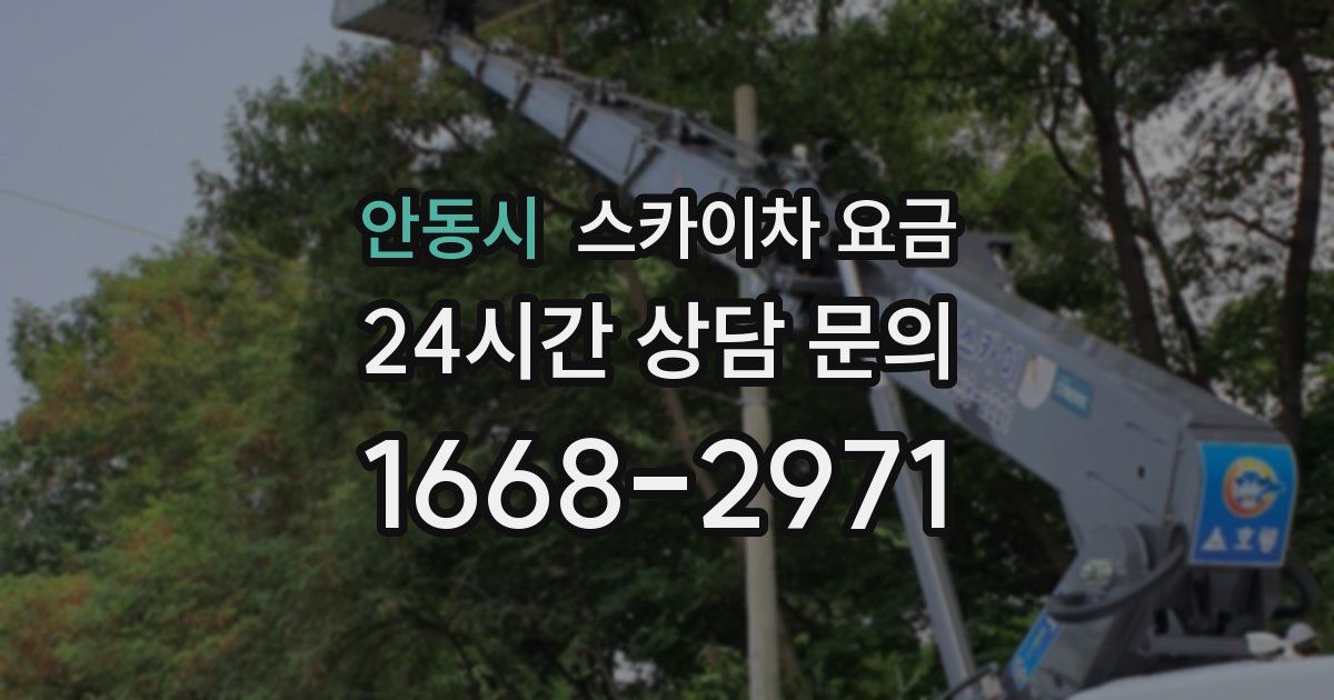안동시 스카이차 요금