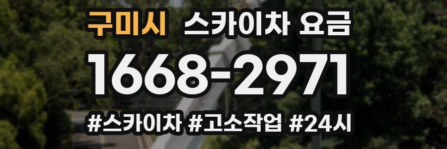 구미시 스카이차 요금