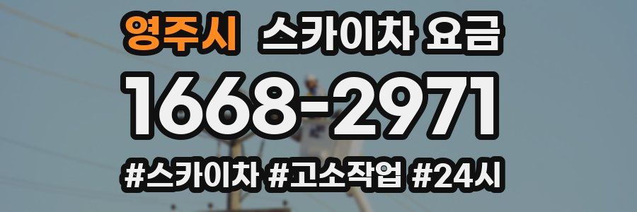 영주시 스카이차 요금