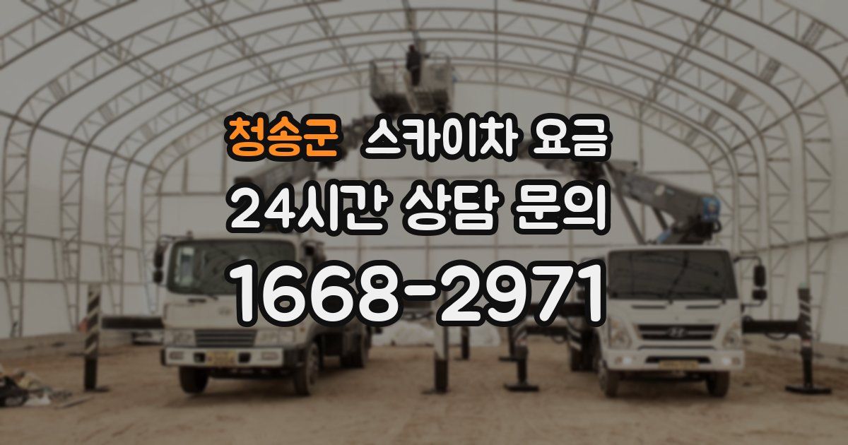 청송군 스카이차 요금