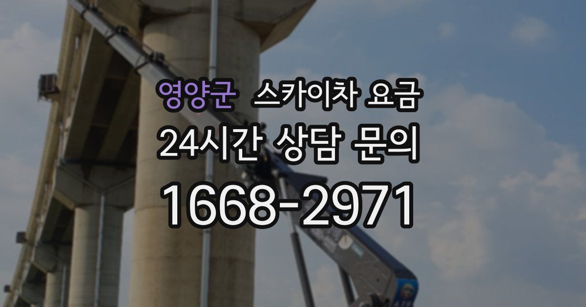 영양군 스카이차 요금