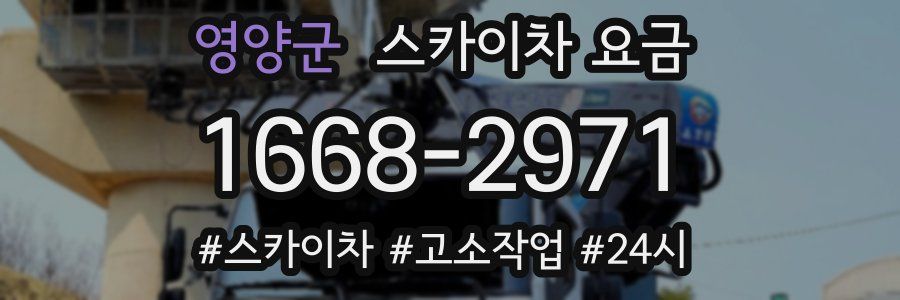 영양군 스카이차 요금