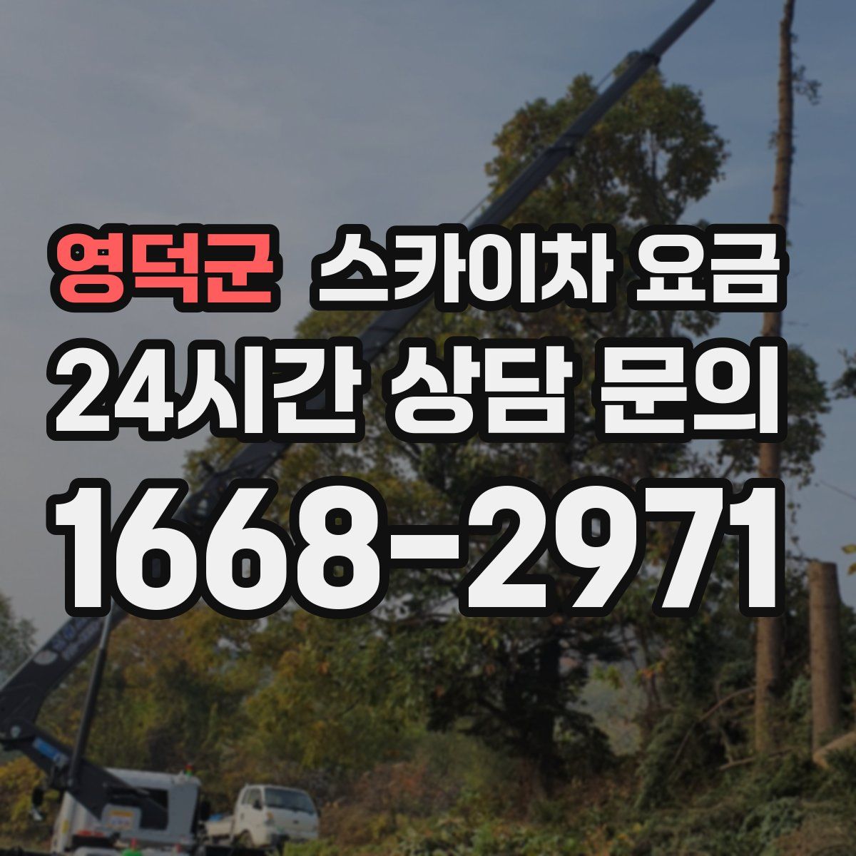 영덕군 스카이차 요금