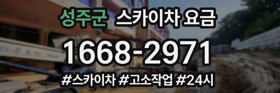 성주군 스카이차 요금