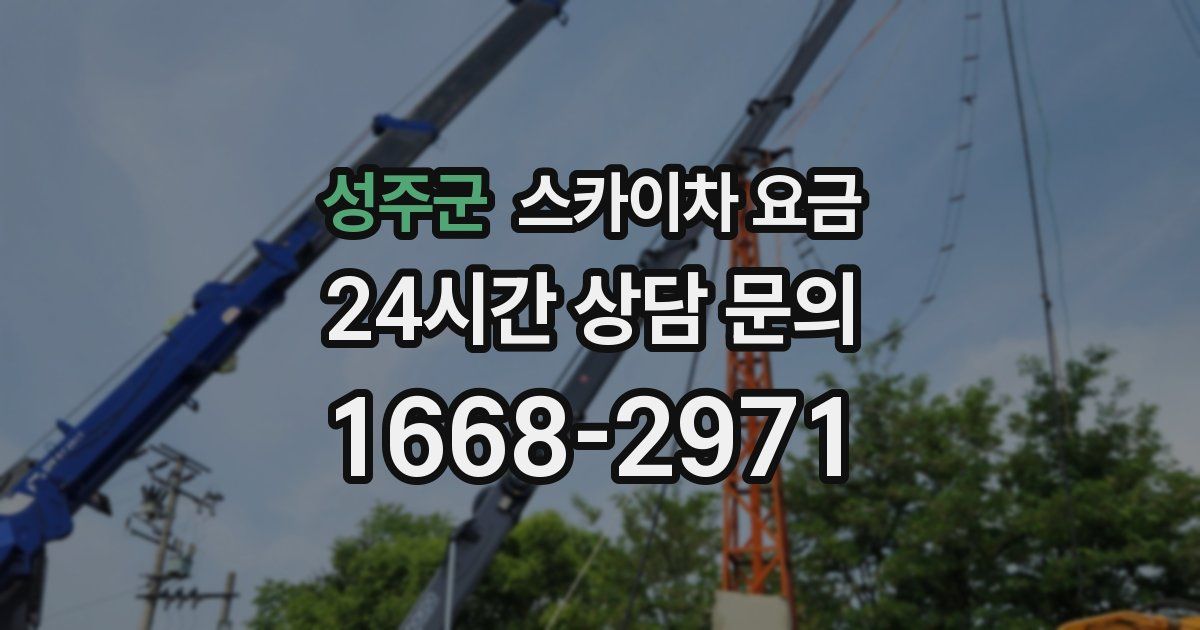 성주군 스카이차 요금
