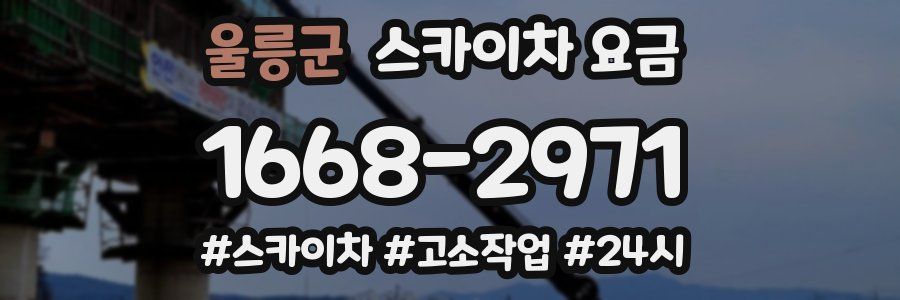 울릉군 스카이차 요금