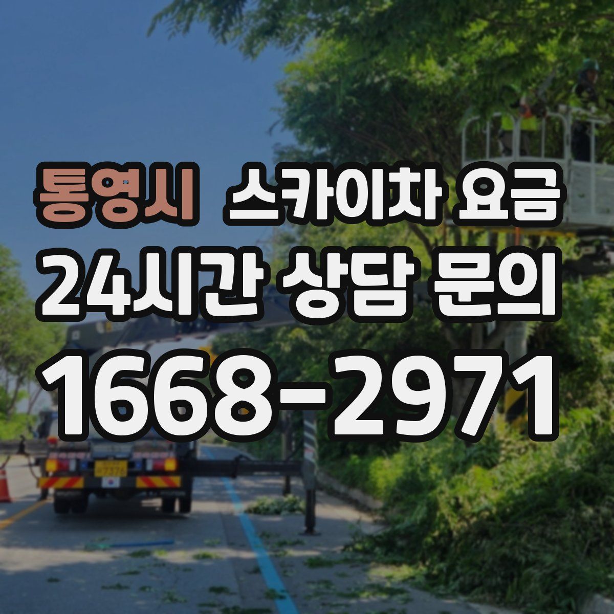 통영시 스카이차 요금