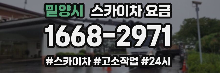 밀양시 스카이차 요금
