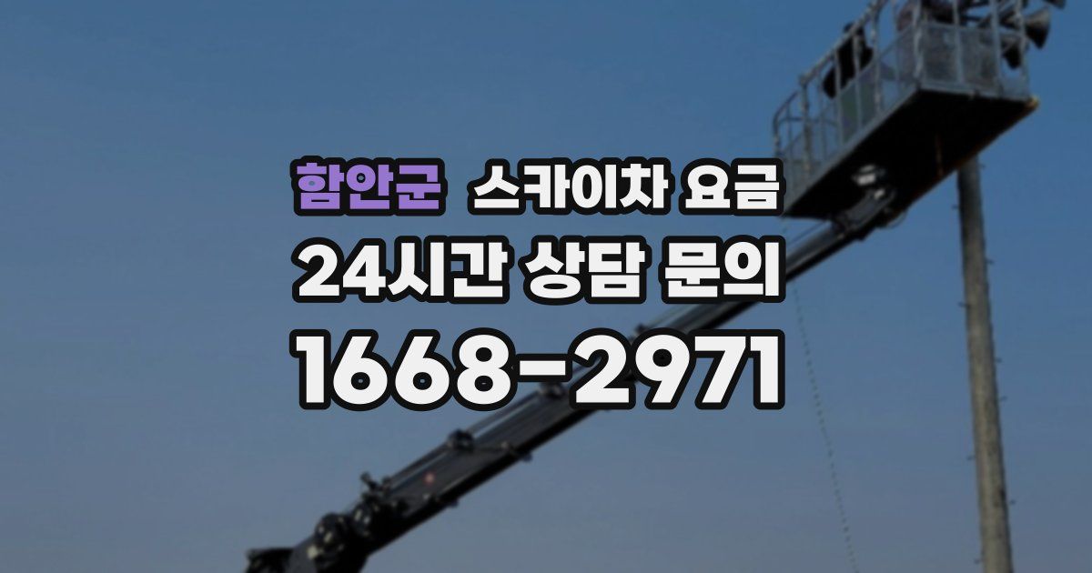 함안군 스카이차 요금