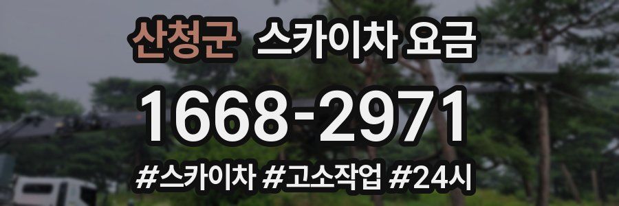 산청군 스카이차 요금