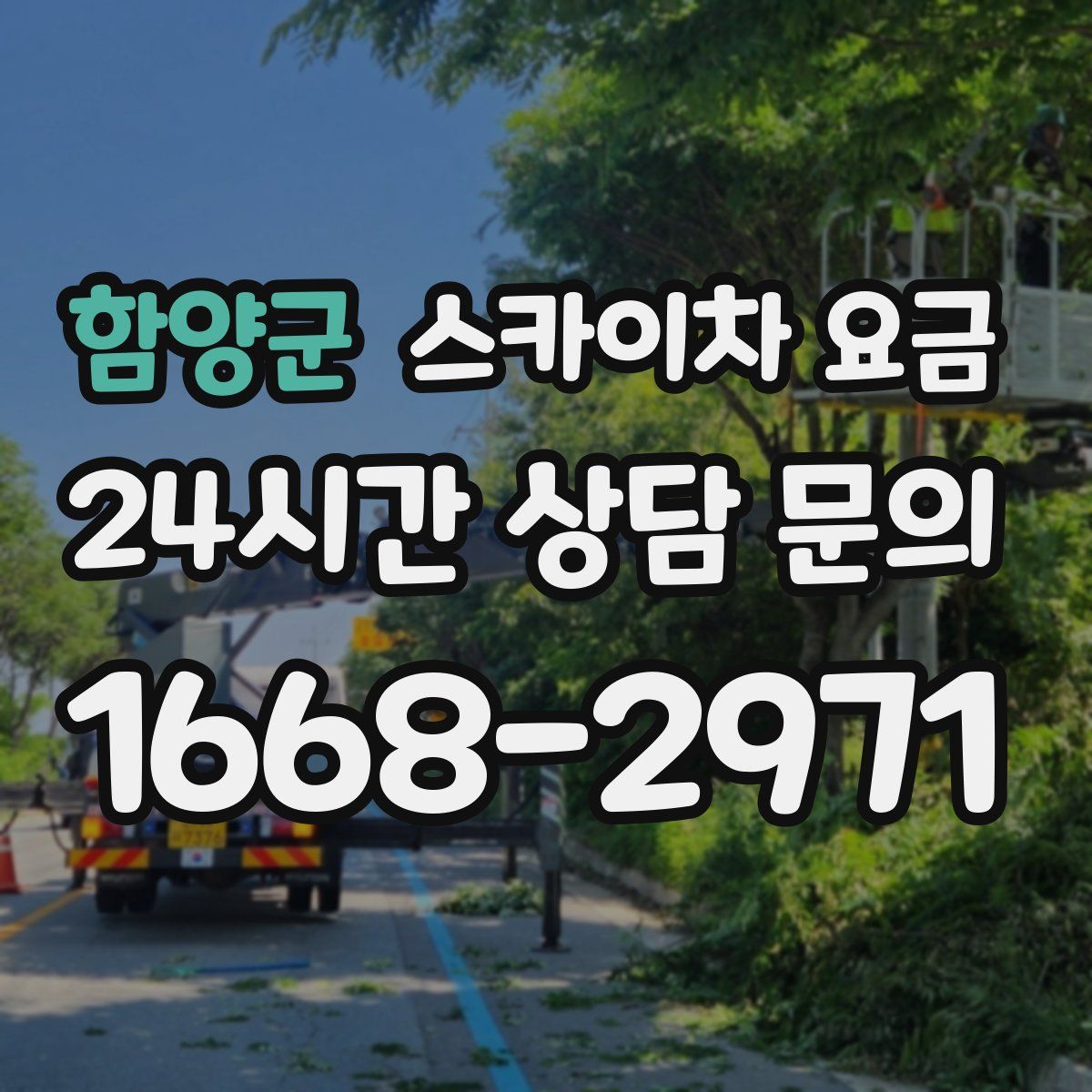 함양군 스카이차 요금