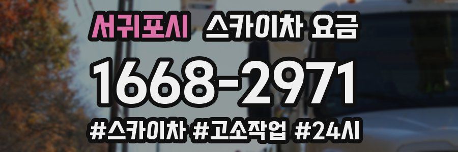 서귀포시 스카이차 요금