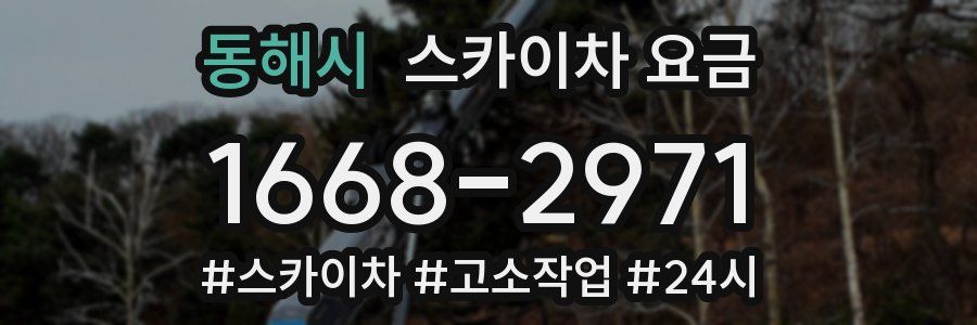 동해시 스카이차 요금