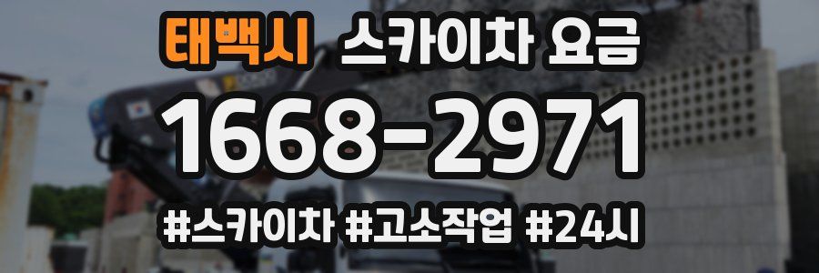 태백시 스카이차 요금