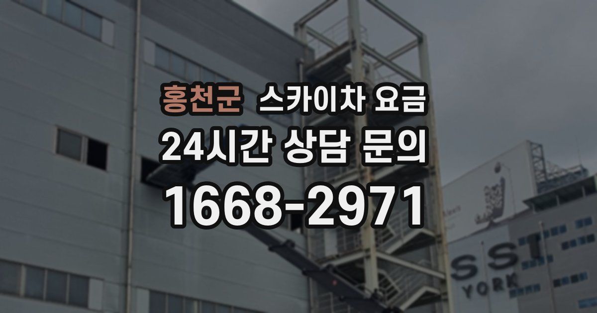 홍천군 스카이차 요금