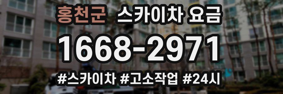 홍천군 스카이차 요금
