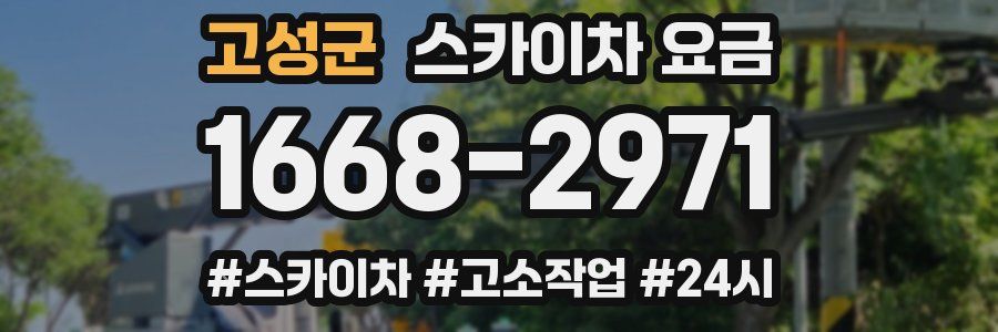 고성군 스카이차 요금