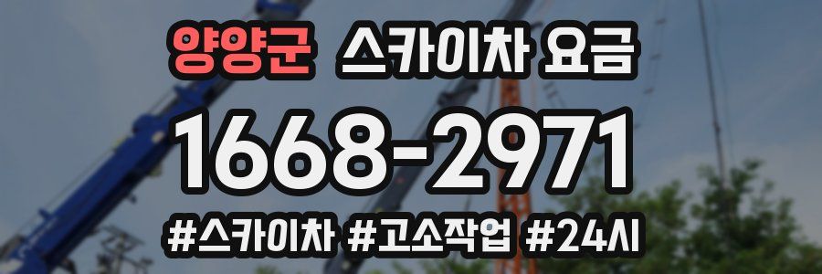 양양군 스카이차 요금