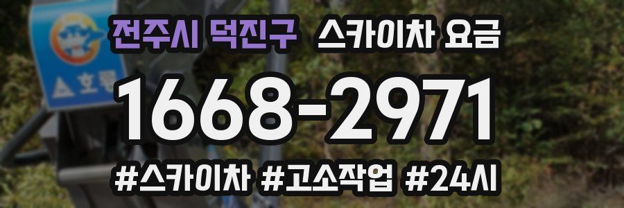 전주시 덕진구 스카이차 요금