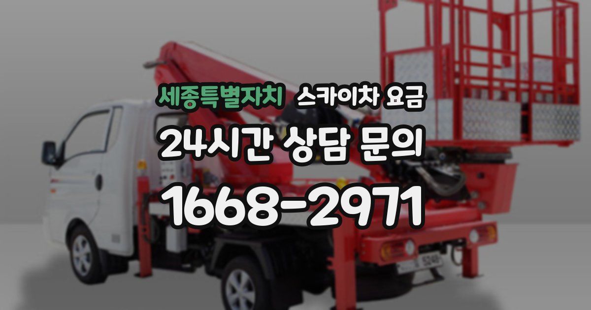 세종특별자치 스카이차 요금
