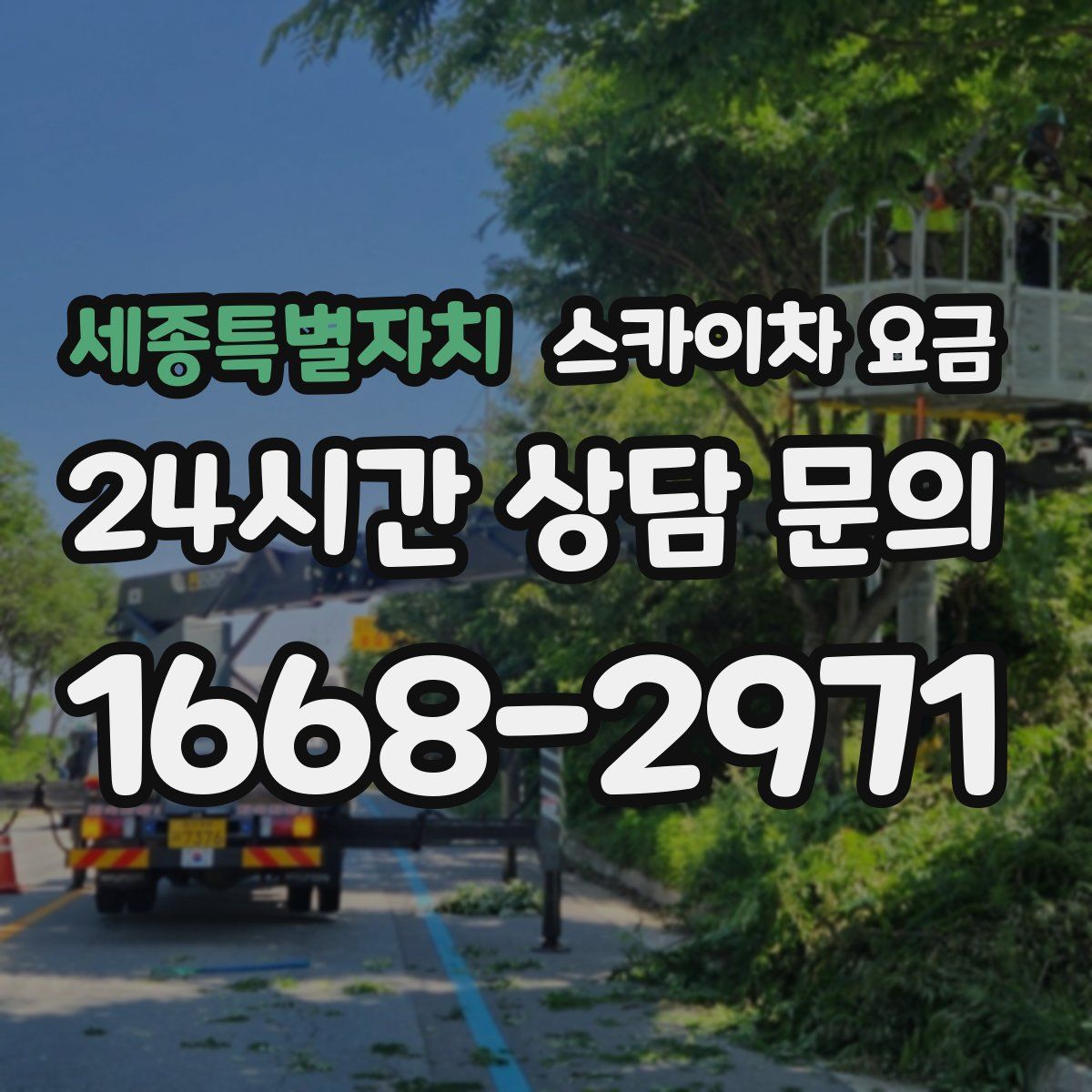 세종특별자치 스카이차 요금