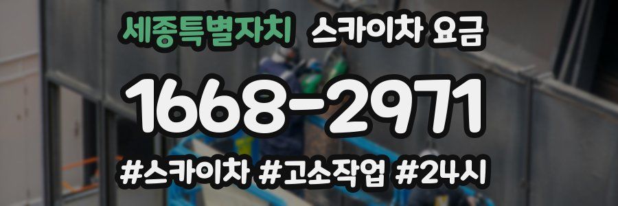 세종특별자치 스카이차 요금