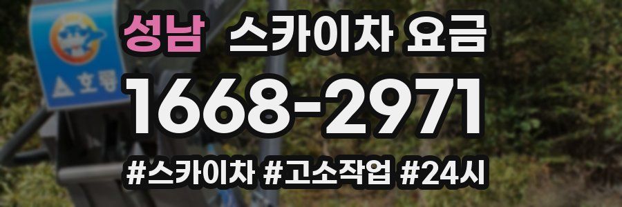 성남 스카이차 요금