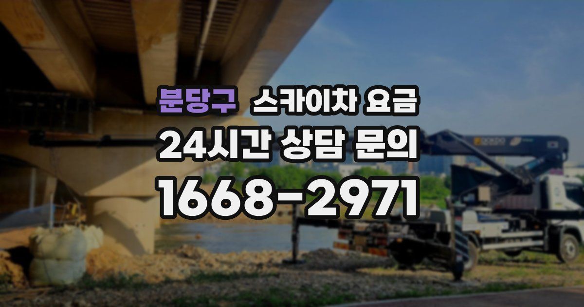 분당구 스카이차 요금