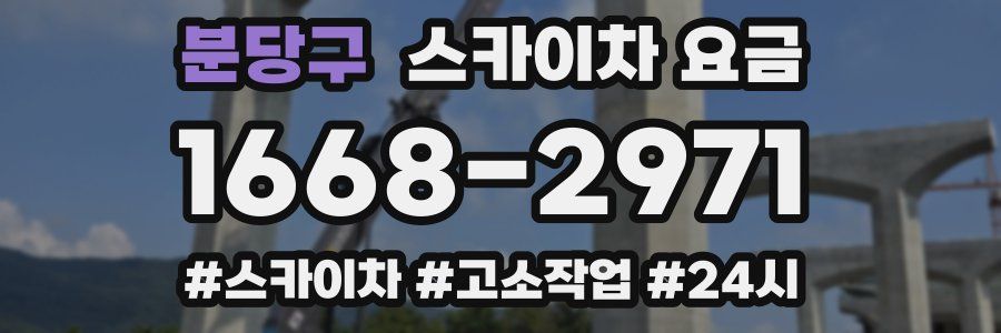 분당구 스카이차 요금