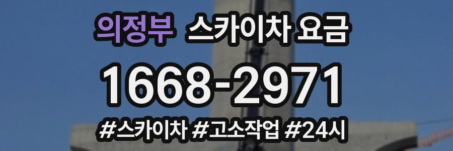 의정부 스카이차 요금