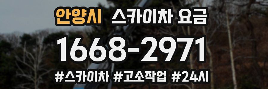 안양시 스카이차 요금
