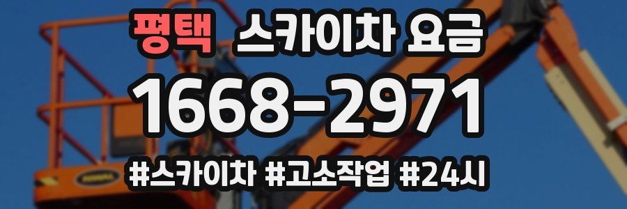 평택 스카이차 요금