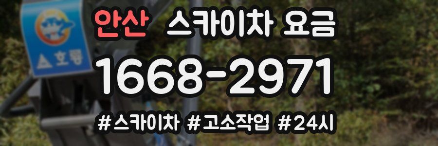 안산 스카이차 요금