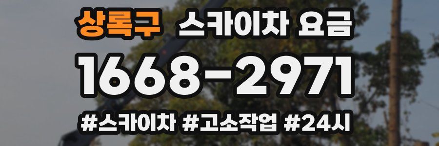 상록구 스카이차 요금