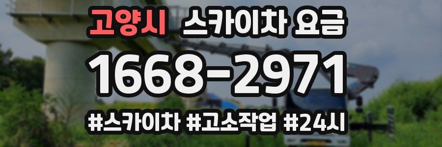 고양시 스카이차 요금