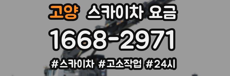 고양 스카이차 요금