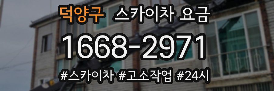 덕양구 스카이차 요금