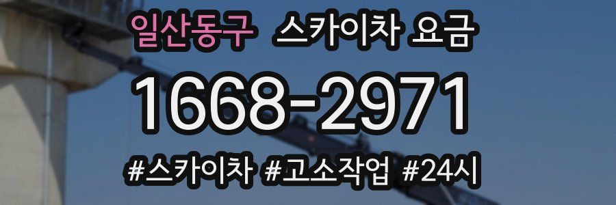 일산동구 스카이차 요금