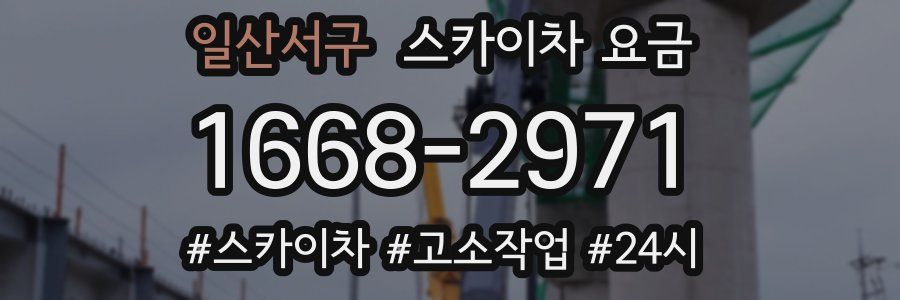 일산서구 스카이차 요금