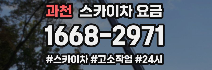 과천 스카이차 요금