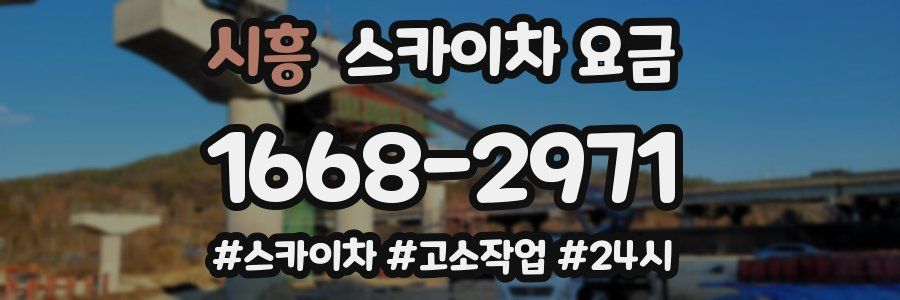 시흥 스카이차 요금