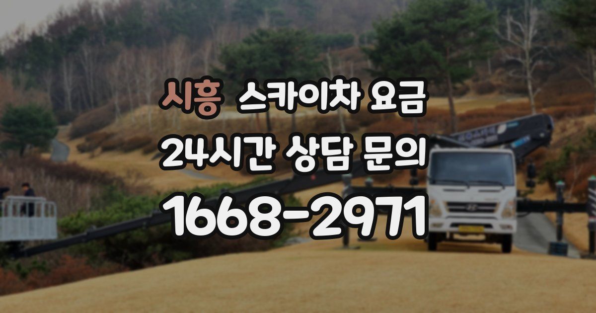 시흥 스카이차 요금