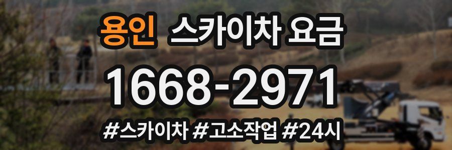 용인 스카이차 요금