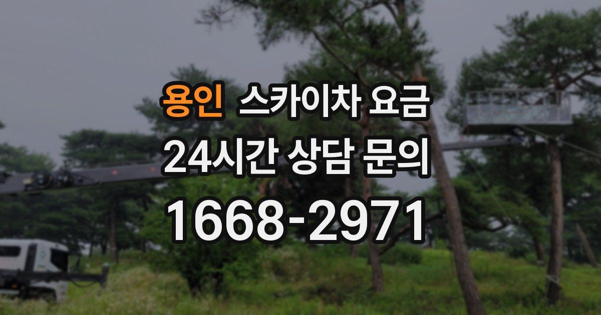 용인 스카이차 요금