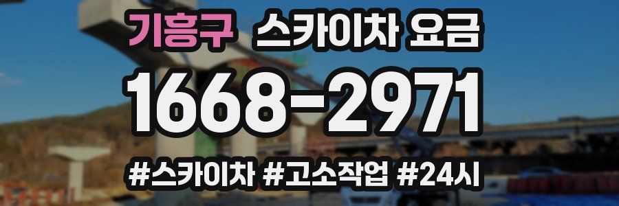 기흥구 스카이차 요금