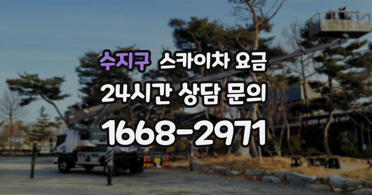 수지구 스카이차 요금