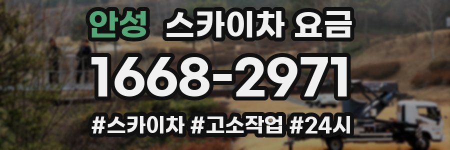 안성 스카이차 요금