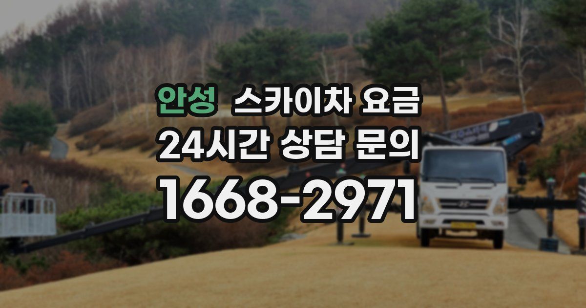 안성 스카이차 요금