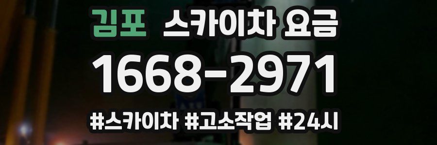 김포 스카이차 요금