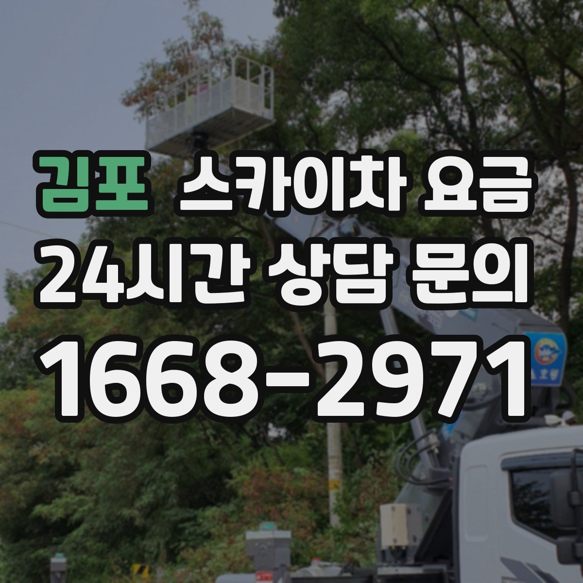 김포 스카이차 요금